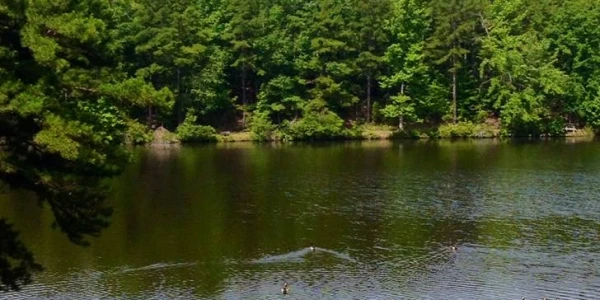 Oasis Renewal Center